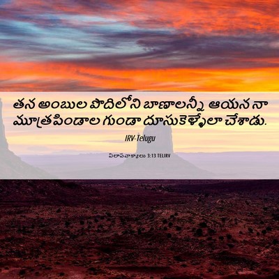 Picture 06 - విలాపవాక్యాలు 3:13 TELIRV - తన అంబుల పొదిలోని - Bible Verse Picture