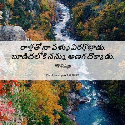 Picture 06 - విలాపవాక్యాలు 3:16 TELIRV - రాళ్లతో నా పళ్ళు - Bible Verse Picture