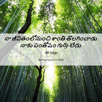 Picture 06 - విలాపవాక్యాలు 3:17 TELIRV - నా జీవితంలోనుంచి - Bible Verse Picture