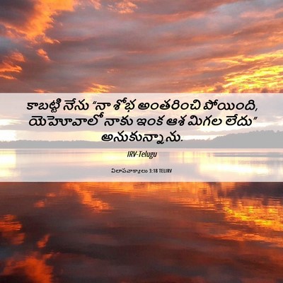 Picture 06 - విలాపవాక్యాలు 3:18 TELIRV - కాబట్టి నేను “నా - Bible Verse Picture