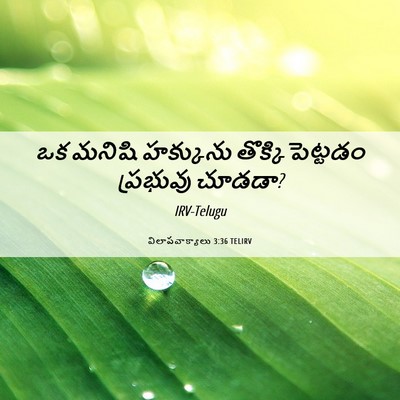 Picture 06 - విలాపవాక్యాలు 3:36 TELIRV - ఒక మనిషి హక్కును - Bible Verse Picture
