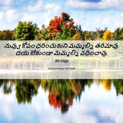 Picture 06 - విలాపవాక్యాలు 3:43 TELIRV - నువ్వు కోపం - Bible Verse Picture