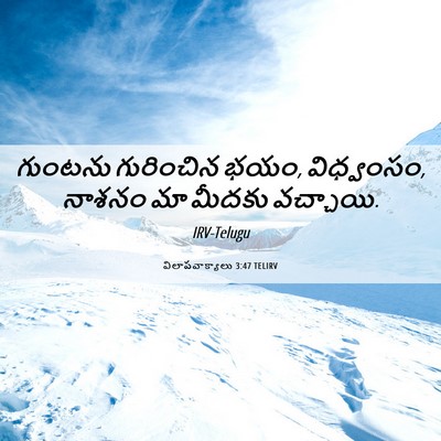 Picture 06 - విలాపవాక్యాలు 3:47 TELIRV - గుంటను గురించిన - Bible Verse Picture