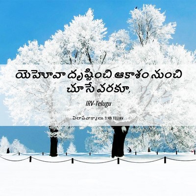 Picture 06 - విలాపవాక్యాలు 3:49 TELIRV - యెహోవా దృష్టించి - Bible Verse Picture