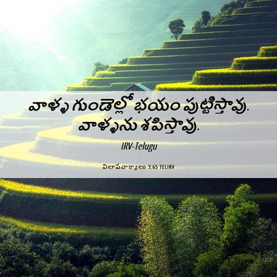 Picture 06 - విలాపవాక్యాలు 3:65 TELIRV - వాళ్ళ గుండెల్లో - Bible Verse Picture
