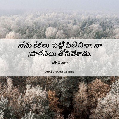 Picture 06 - విలాపవాక్యాలు 3:8 TELIRV - నేను కేకలు పెట్టి - Bible Verse Picture