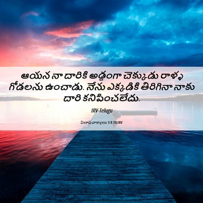 Picture 06 - విలాపవాక్యాలు 3:9 TELIRV - ఆయన నా దారికి - Bible Verse Picture
