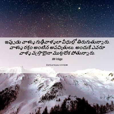 Picture 06 - విలాపవాక్యాలు 4:14 TELIRV - ఇప్పుడు వాళ్ళు - Bible Verse Picture