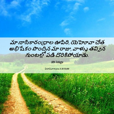 Picture 06 - విలాపవాక్యాలు 4:20 TELIRV - మా నాసికారంధ్రాల - Bible Verse Picture