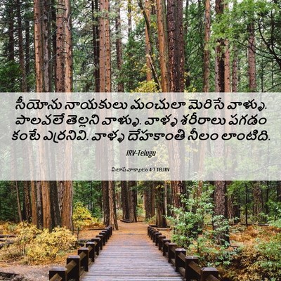 Picture 06 - విలాపవాక్యాలు 4:7 TELIRV - సీయోను నాయకులు - Bible Verse Picture