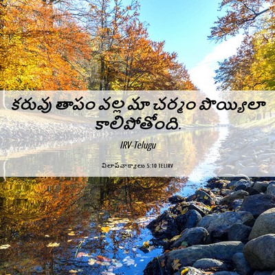 Picture 06 - విలాపవాక్యాలు 5:10 TELIRV - కరువు తాపం వల్ల మా - Bible Verse Picture