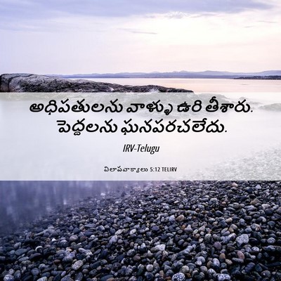 Picture 06 - విలాపవాక్యాలు 5:12 TELIRV - అధిపతులను వాళ్ళు - Bible Verse Picture