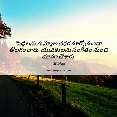 Picture 06 - విలాపవాక్యాలు 5:14 TELIRV - పెద్దలను గుమ్మాల - Bible Verse Picture