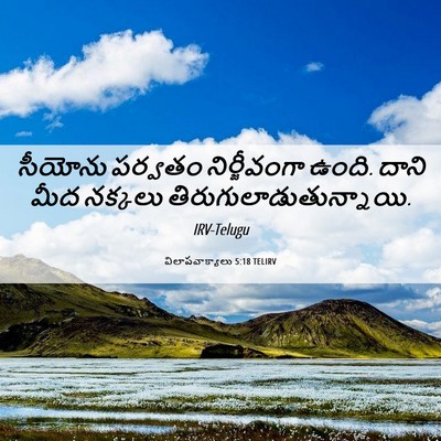 Picture 06 - విలాపవాక్యాలు 5:18 TELIRV - సీయోను పర్వతం - Bible Verse Picture