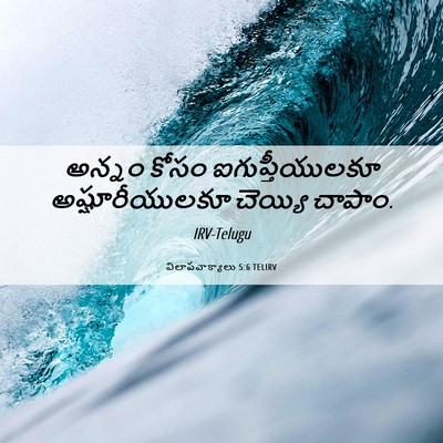 Picture 06 - విలాపవాక్యాలు 5:6 TELIRV - అన్నం కోసం - Bible Verse Picture