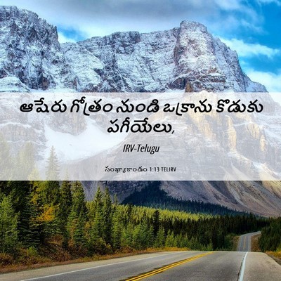 Picture 06 - సంఖ్యాకాండం 1:13 TELIRV - ఆషేరు గోత్రం - Bible Verse Picture