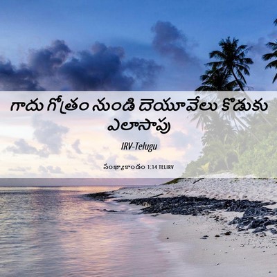 Picture 06 - సంఖ్యాకాండం 1:14 TELIRV - గాదు గోత్రం నుండి - Bible Verse Picture
