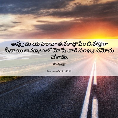 Picture 06 - సంఖ్యాకాండం 1:19 TELIRV - అప్పుడు యెహోవా - Bible Verse Picture