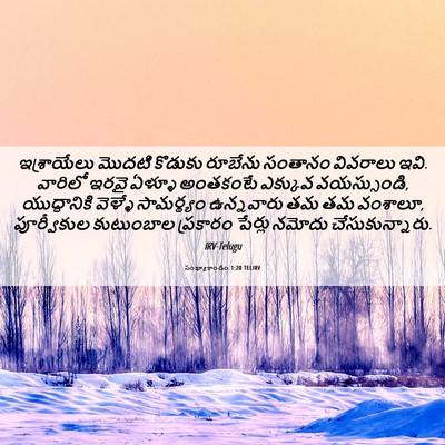 Picture 06 - సంఖ్యాకాండం 1:20 TELIRV - ఇశ్రాయేలు మొదటి - Bible Verse Picture