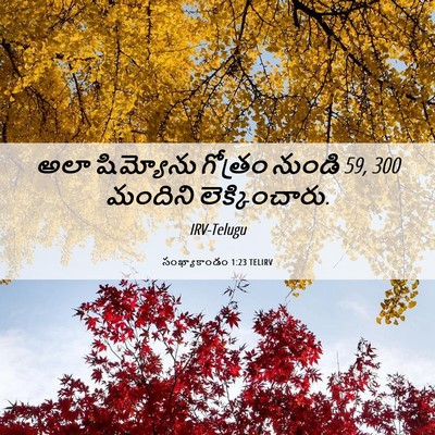 Picture 06 - సంఖ్యాకాండం 1:23 TELIRV - అలా షిమ్యోను - Bible Verse Picture