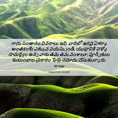 Picture 06 - సంఖ్యాకాండం 1:24 TELIRV - గాదు సంతానం - Bible Verse Picture