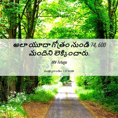Picture 06 - సంఖ్యాకాండం 1:27 TELIRV - అలా యూదా గోత్రం - Bible Verse Picture