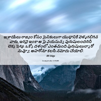 Picture 06 - సంఖ్యాకాండం 1:3 TELIRV - ఇశ్రాయేలు రాజ్యం - Bible Verse Picture