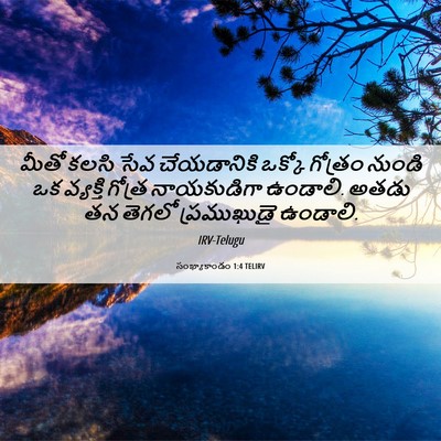 Picture 06 - సంఖ్యాకాండం 1:4 TELIRV - మీతో కలసి సేవ - Bible Verse Picture