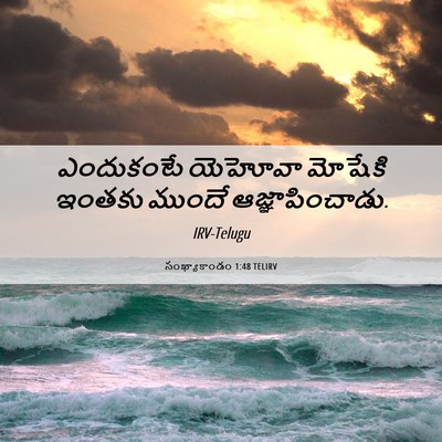 Picture 06 - సంఖ్యాకాండం 1:48 TELIRV - ఎందుకంటే యెహోవా - Bible Verse Picture