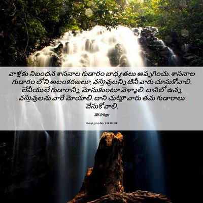 Picture 06 - సంఖ్యాకాండం 1:50 TELIRV - వాళ్లకు నిబంధన - Bible Verse Picture