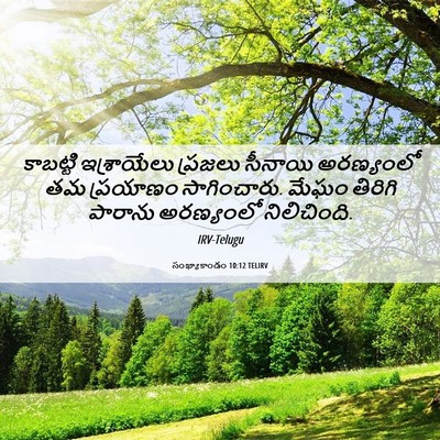 Picture 06 - సంఖ్యాకాండం 10:12 TELIRV - కాబట్టి ఇశ్రాయేలు - Bible Verse Picture
