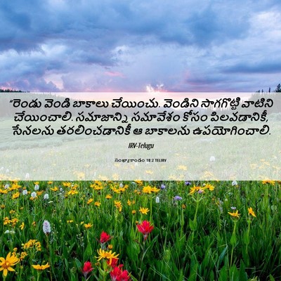 Picture 06 - సంఖ్యాకాండం 10:2 TELIRV - “రెండు వెండి - Bible Verse Picture