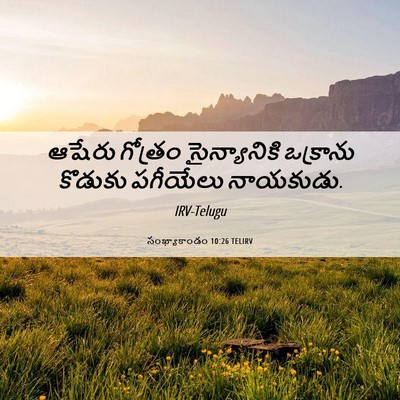 Picture 06 - సంఖ్యాకాండం 10:26 TELIRV - ఆషేరు గోత్రం - Bible Verse Picture