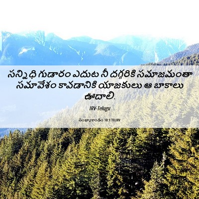 Picture 06 - సంఖ్యాకాండం 10:3 TELIRV - సన్నిధి గుడారం - Bible Verse Picture