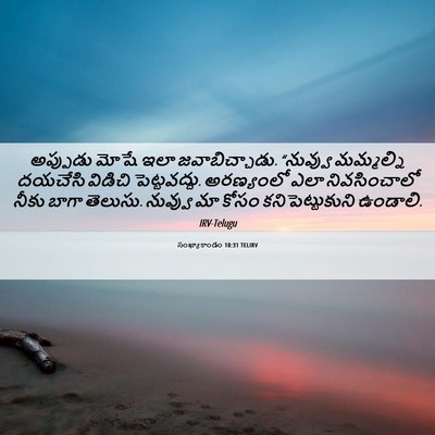 Picture 06 - సంఖ్యాకాండం 10:31 TELIRV - అప్పుడు మోషే ఇలా - Bible Verse Picture