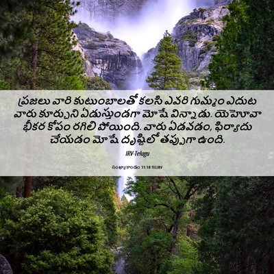 Picture 06 - సంఖ్యాకాండం 11:10 TELIRV - ప్రజలు వారి - Bible Verse Picture