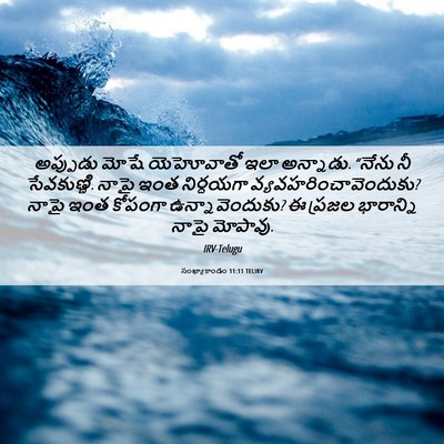 Picture 06 - సంఖ్యాకాండం 11:11 TELIRV - అప్పుడు మోషే - Bible Verse Picture