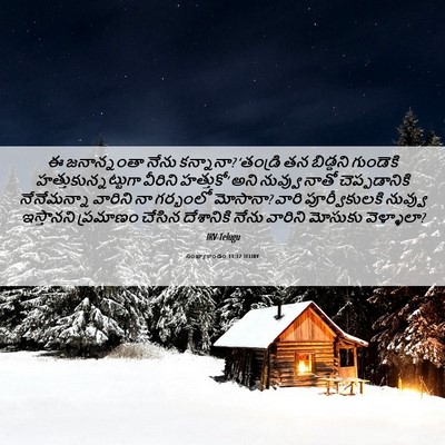 Picture 06 - సంఖ్యాకాండం 11:12 TELIRV - ఈ జనాన్నంతా నేను - Bible Verse Picture