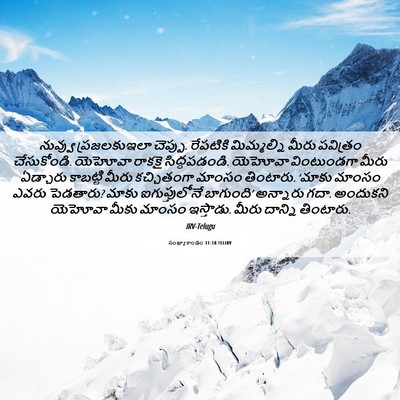 Picture 06 - సంఖ్యాకాండం 11:18 TELIRV - నువ్వు ప్రజలకుఇలా - Bible Verse Picture