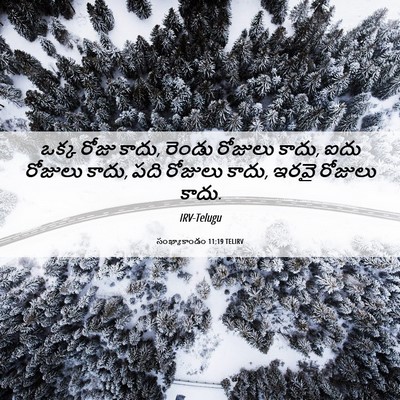 Picture 06 - సంఖ్యాకాండం 11:19 TELIRV - ఒక్క రోజు కాదు, - Bible Verse Picture