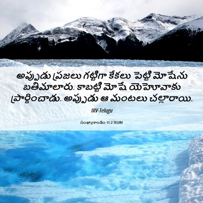 Picture 06 - సంఖ్యాకాండం 11:2 TELIRV - అప్పుడు ప్రజలు - Bible Verse Picture
