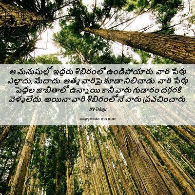 Picture 06 - సంఖ్యాకాండం 11:26 TELIRV - ఆ మనుషుల్లో - Bible Verse Picture