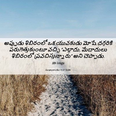 Picture 06 - సంఖ్యాకాండం 11:27 TELIRV - అప్పుడు శిబిరంలో - Bible Verse Picture