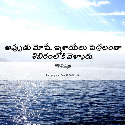 Picture 06 - సంఖ్యాకాండం 11:30 TELIRV - అప్పుడు మోషే, - Bible Verse Picture
