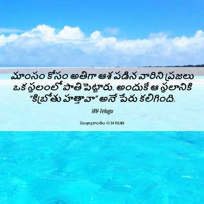 Picture 06 - సంఖ్యాకాండం 11:34 TELIRV - మాంసం కోసం అతిగా - Bible Verse Picture