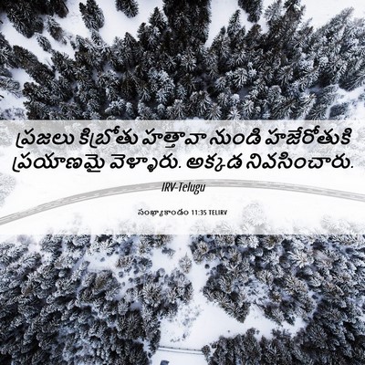 Picture 06 - సంఖ్యాకాండం 11:35 TELIRV - ప్రజలు కిబ్రోతు - Bible Verse Picture