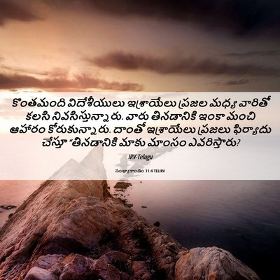 Picture 06 - సంఖ్యాకాండం 11:4 TELIRV - కొంతమంది - Bible Verse Picture