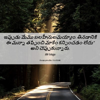 Picture 06 - సంఖ్యాకాండం 11:6 TELIRV - ఇప్పుడు మేము - Bible Verse Picture