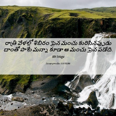 Picture 06 - సంఖ్యాకాండం 11:9 TELIRV - రాత్రి వేళల్లో - Bible Verse Picture