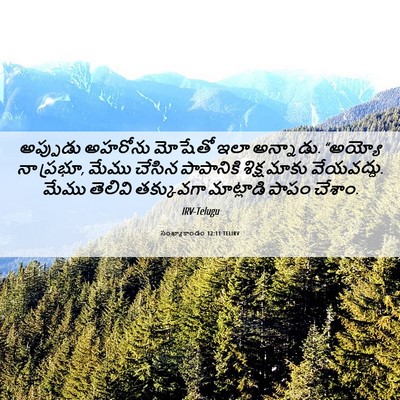 Picture 06 - సంఖ్యాకాండం 12:11 TELIRV - అప్పుడు అహరోను - Bible Verse Picture
